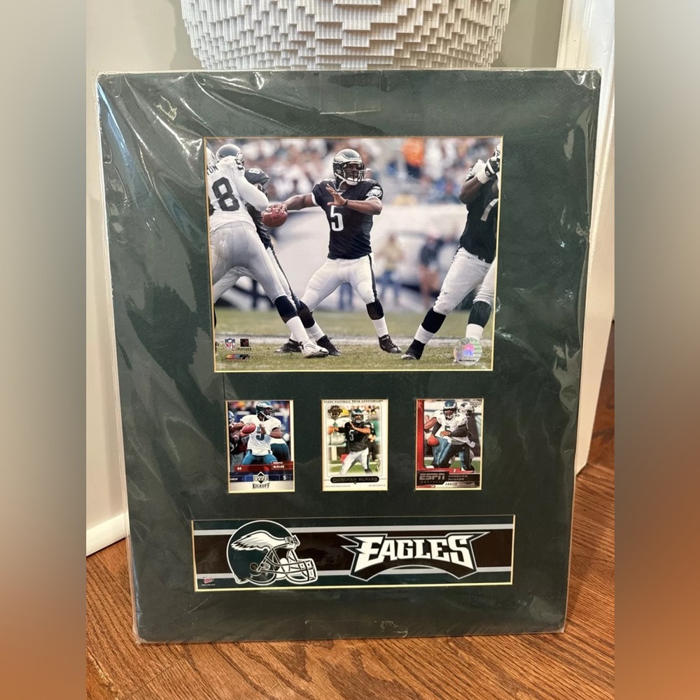 Eagles Framed Photo Collage